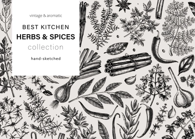 Hand-drawn herbs and spices vector design. Hand-sketched food illustration. Vintage aromatic plants hand-drawing. Kitchen herbs and spice frame template in sketched style. Vintage menu or banners